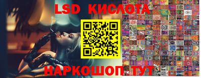 прущие крисы Нальчик