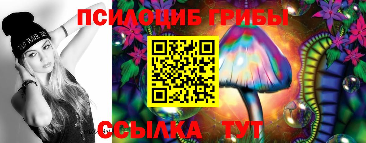 Топки  Псилоцибиновые грибы Psilocybine cubensis  Вход с VPN 